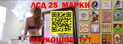 скорость Гатчина