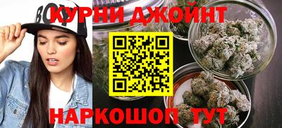 скорость Гатчина
