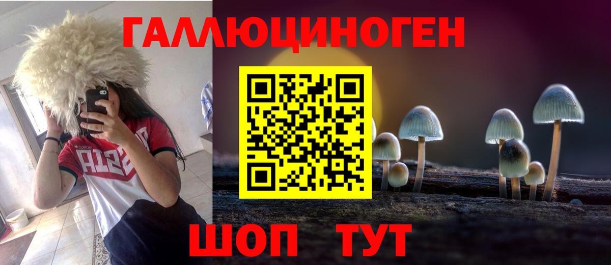 Галлюциногенные грибы Psilocybe  Вход с VPN  Дербент 